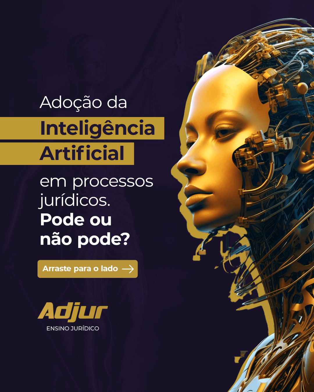 Arte de carrossel produzido para a Adjur